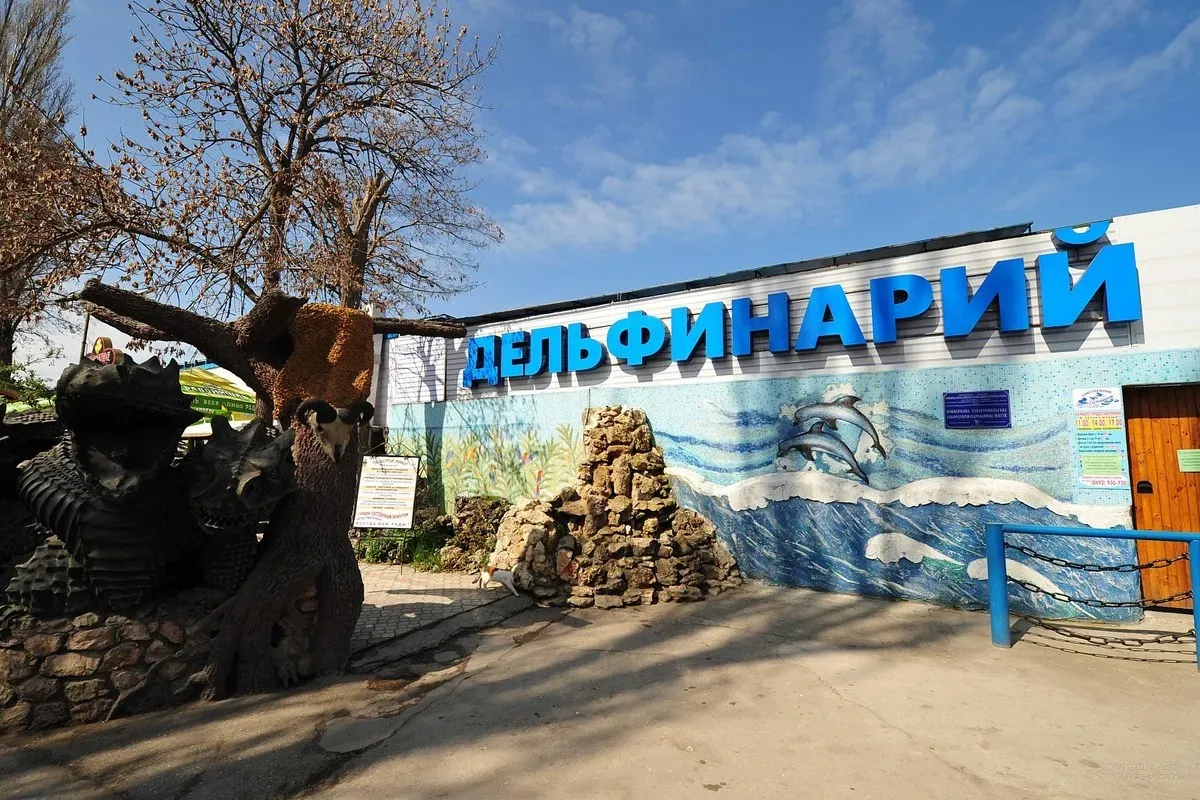 Дельфинарий в Артбухте