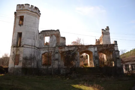 Усадьба графини Монжене